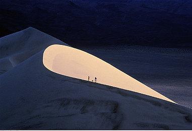 《致命公司》新版本上线 未来将添加大量新生物和地图变化